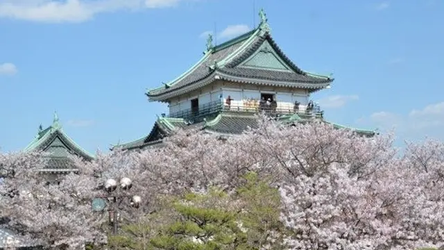 関西　おはな