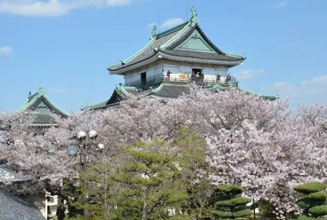 関西　おはな