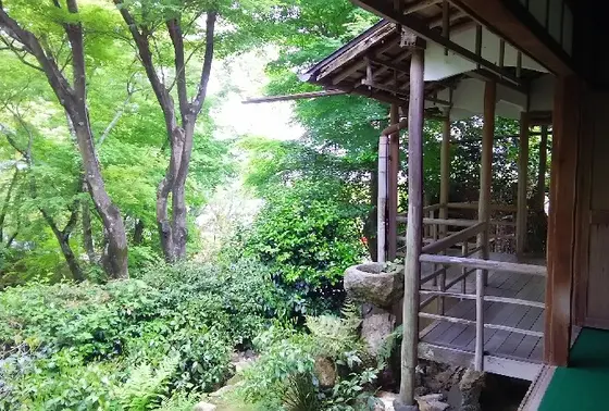 本堂縁側からの眺めも格別