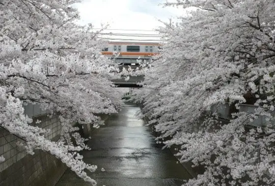 東中野駅周辺1