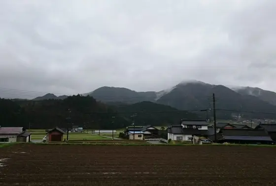 周囲の風景