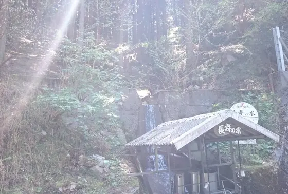 長寿の水