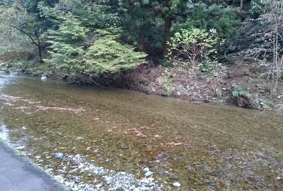 周囲は美しい自然が