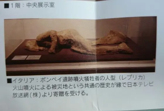 この姿は衝撃的！