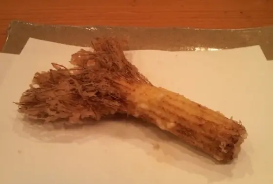 今の季節