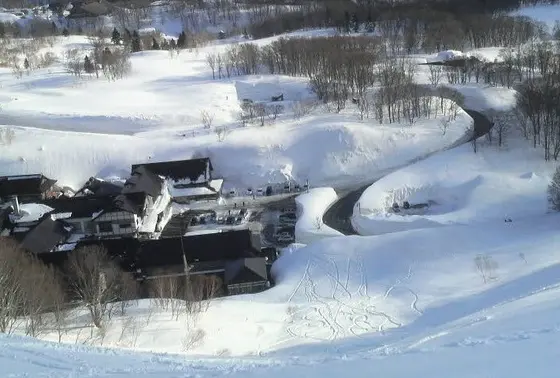 なんせ凄い雪！