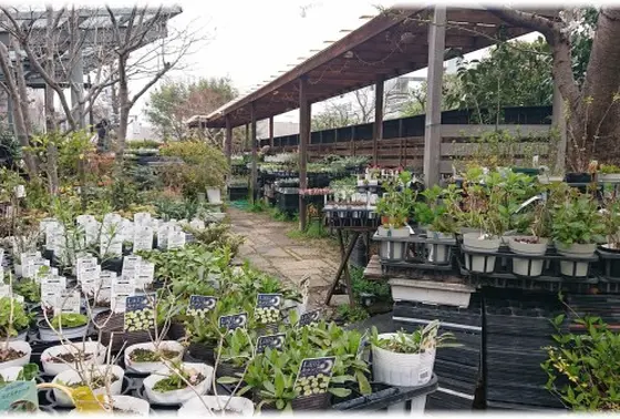 お隣のグリーンショップ音羽