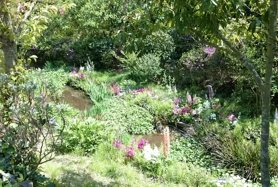 地中美術館への小道