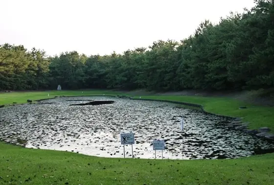 みそぎ池