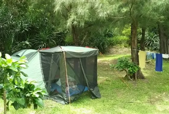 キャンプ場