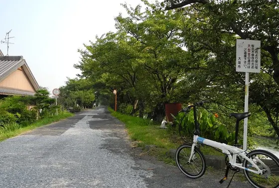 田舎道最高！