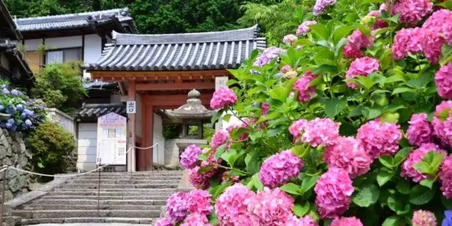 【奈良　矢田寺】御朱印と花と手拭いと
