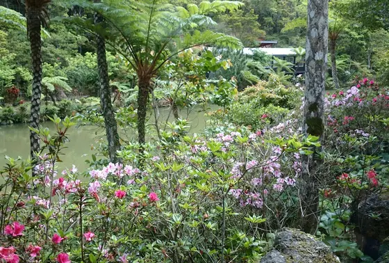 南国の自然があふれた窓からの風景