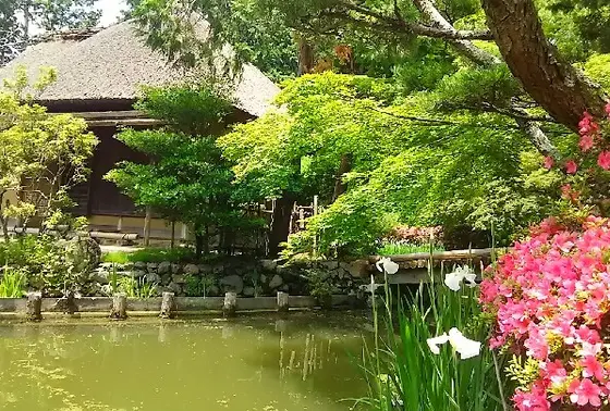 池中亭茶室