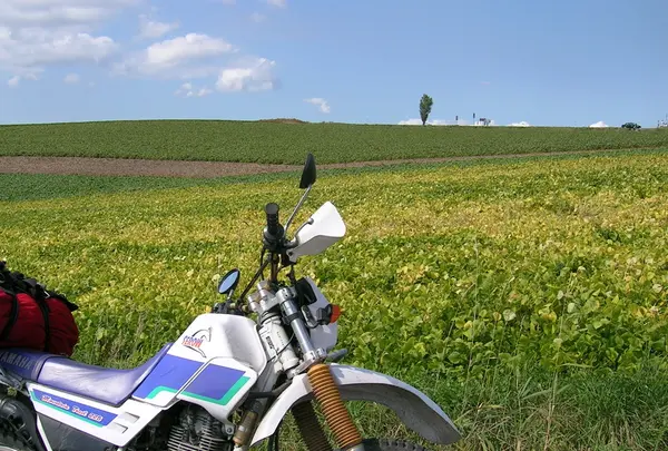 パッチワークの路の写真・動画_image_36398