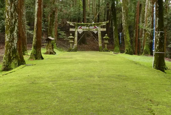 鳥居から続く石畳み