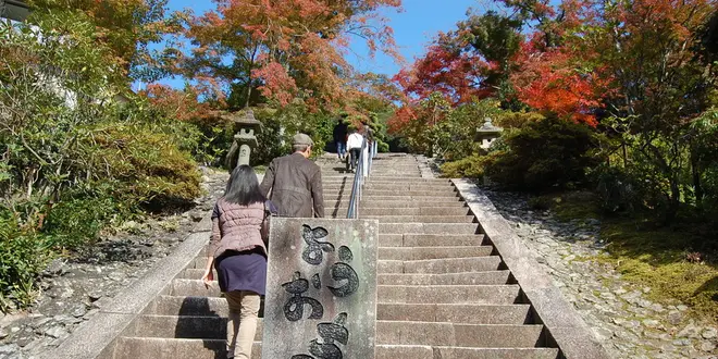 渋滞知らず！抹茶が美味しい！京都駅から電車に乗って、向かうは宇治！