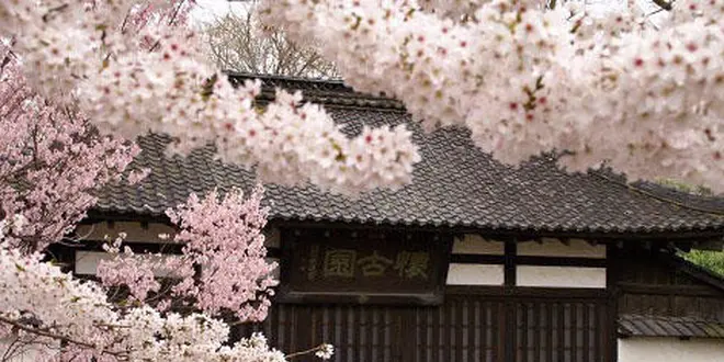 女子旅!!～桜舞う信州へ～