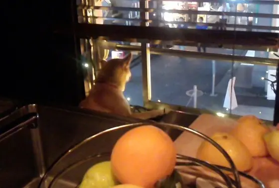 渋谷の街も変わったなぁ･･･