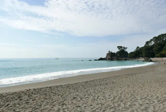 桂浜の海岸線