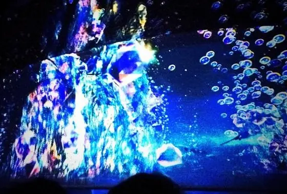 ナイトアクアリウム