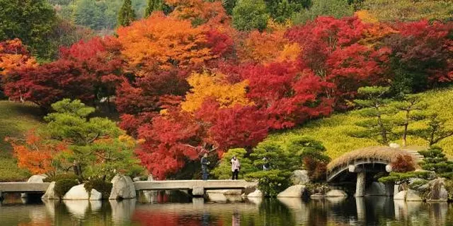 紅葉を楽しむ～三溪園～