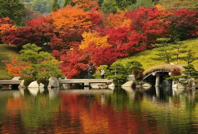 紅葉を楽しむ～三溪園～
