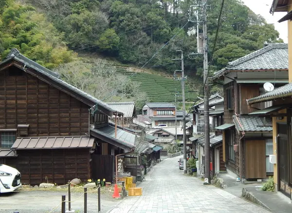豊臣秀吉ゆかりの品が