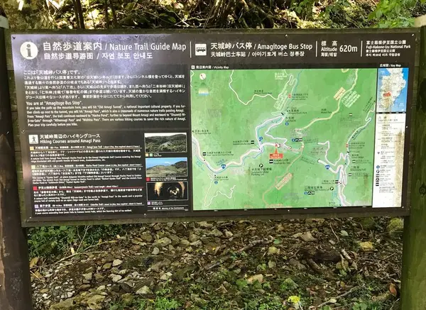 「踊子歩道」とは？