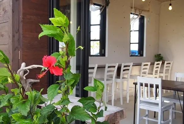 お洒落な店内