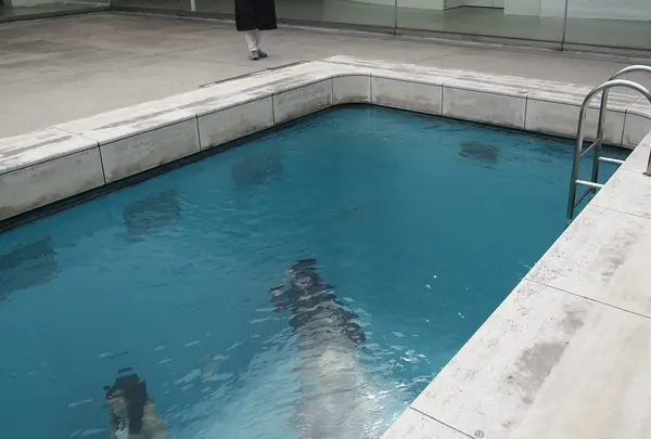 お約束プール