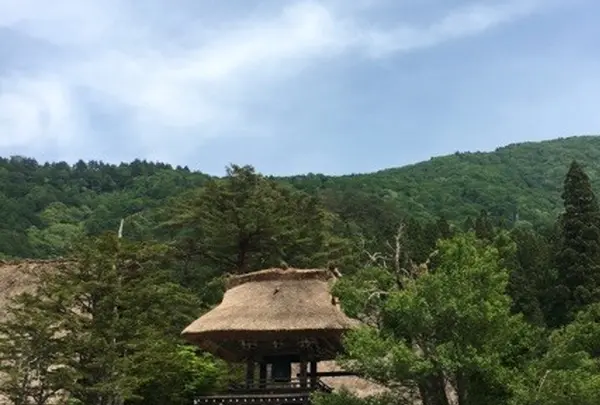 明善寺の写真・動画_image_139728