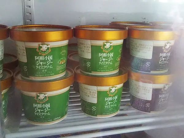 ジャージー牛乳、ヨーグルト