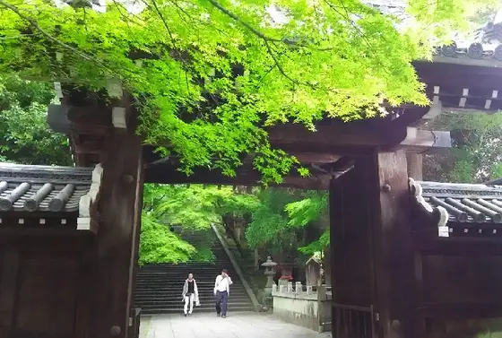 緑がまぶしい山門