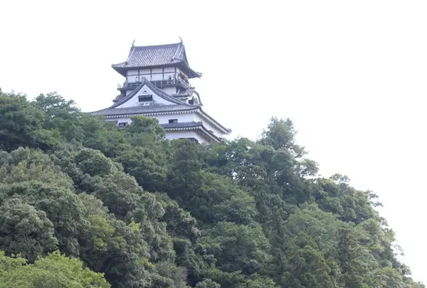 木曽川の写真・動画_image_37226