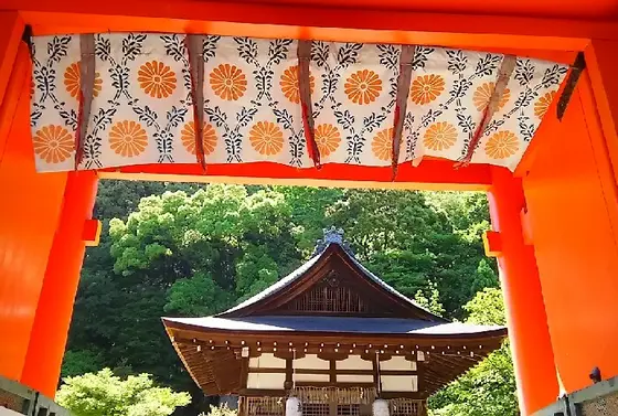 朱色と緑のコントラストがキレイ