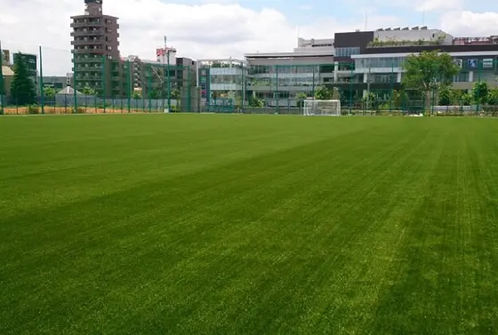 広大なフットサル場