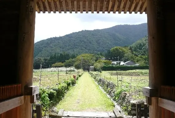仁王門から参道を…！
