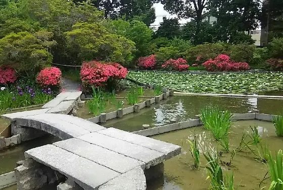 神苑が素晴らしいです
