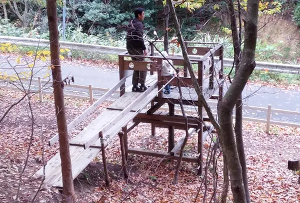 ツリーハウス♪