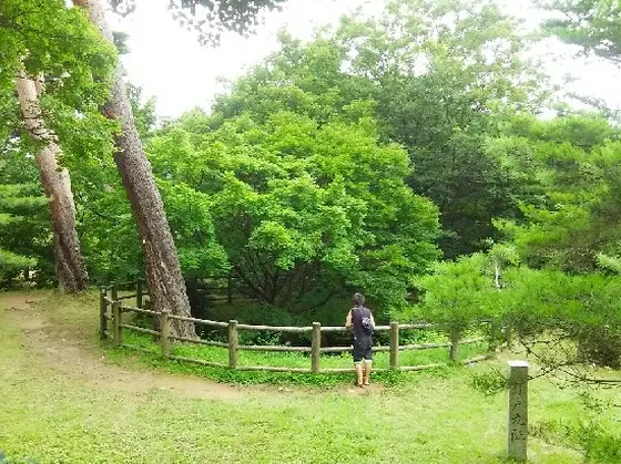 今なお水を湛える大井戸（井戸曲輪）