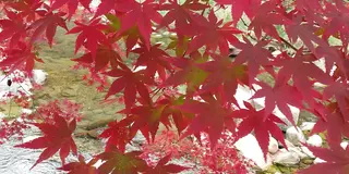 小さな子供とめいっぱい遊ぶ☆宮崎/山之口めぐり