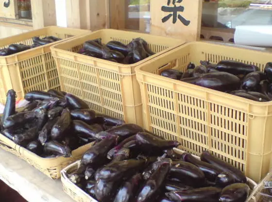店頭には季節のお野菜が