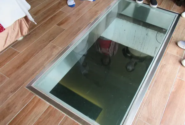 水岸森林の写真・動画_image_527873