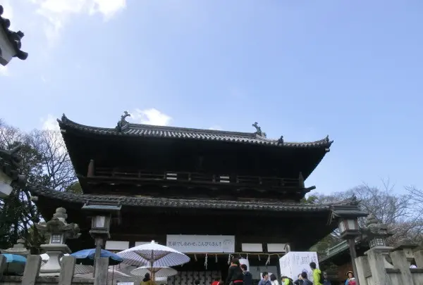 琴平山
