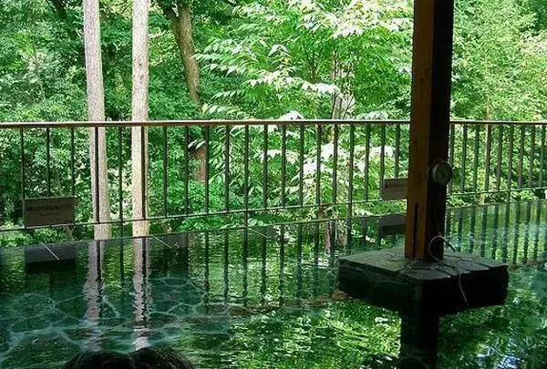 秋川渓谷瀬音の湯 Seotonoyu-Onsen