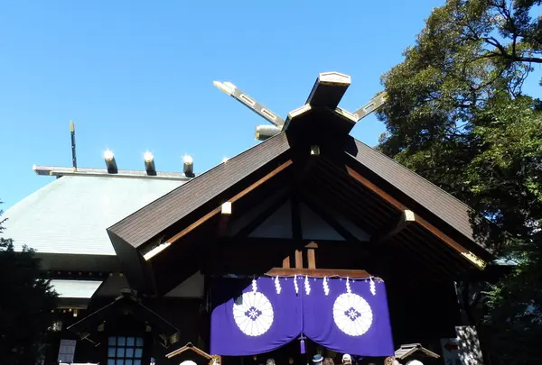 東京大神宮の写真・動画_image_166159