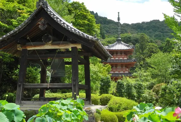 三室戸寺の写真・動画_image_27375