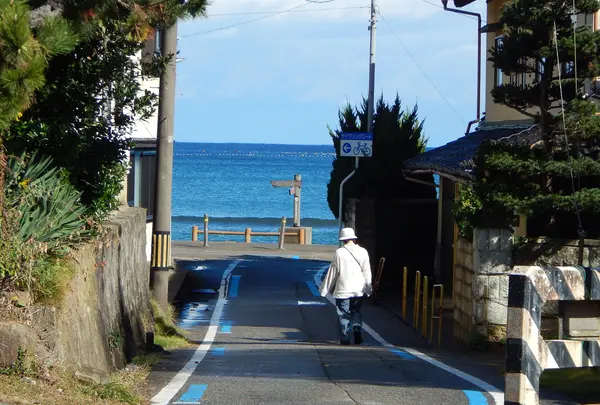 国定公園 雨晴海岸の写真・動画_image_389649
