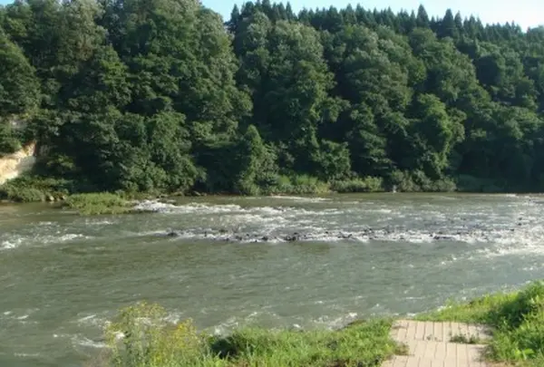 隼の瀬 眺望公園